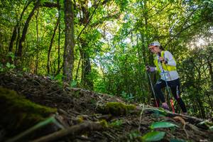 BIB: 276
                            <button type="button" onclick="openModal(16015442)" class="btn btn-primary btn-sm float-right btn-popup" data-toggle="modal" data-target=".modal-high-quality">
                        <i class="fas fa-shopping-cart"></i> Add to Cart
                    </button>
                                            <button type="button" onclick="isThisMe(16015442, true)" class="btn btn-success btn-sm float-right btn-popup btn-isme hidden" data-toggle="tooltip" data-placement="bottom" title="นี่คือรูปของคุณใช่ไหม คลิกที่นี่เพื่อเอาเข้าอัลบั้ม">
                        <i class="fas fa-plus"></i> Add to album
                    </button>
                    <button type="button" onclick="isThisMe(16015442, false)" class="btn btn-warning btn-sm float-right btn-popup btn-isnotme hidden">
                        <i class="fas fa-ban"></i> Remove from album
                    </button>